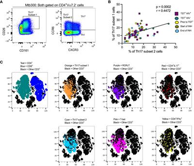 High-parameter phenotypic characterization reveals a subset of human Th17 cells that preferentially produce IL-17 against M. tuberculosis antigen